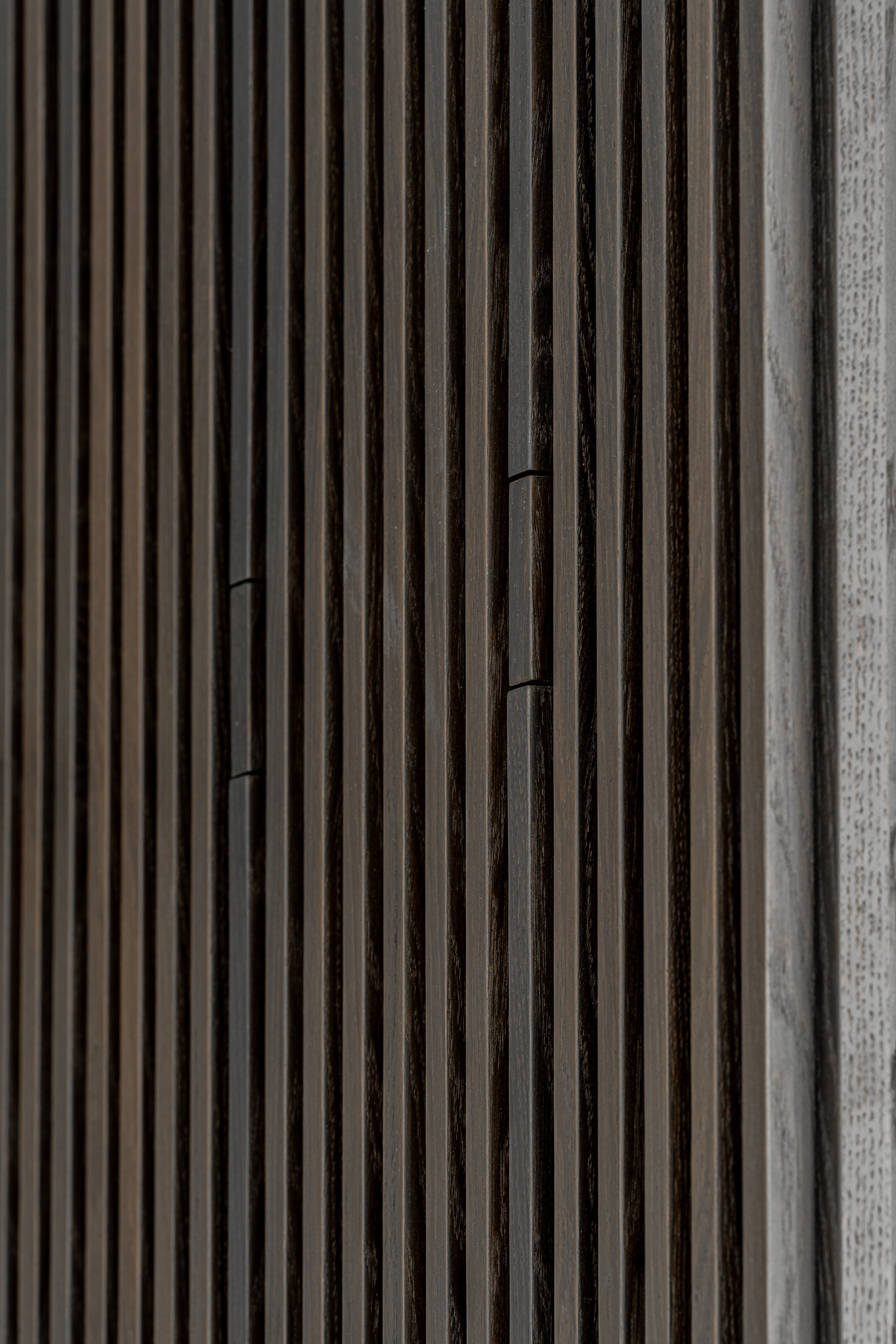 Verborgen doorgang (open)